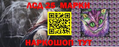 дживик Ставрополь