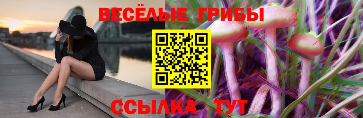 Псилоцибиновые грибы мухоморы  Вход с VPN  Новоуральск 